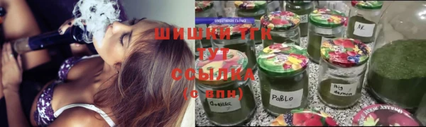 прущие крисы Вяземский