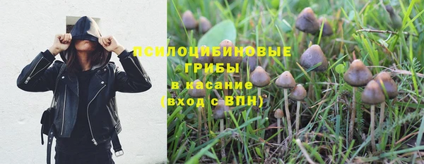 прущие крисы Вяземский