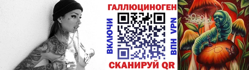 Купить закладки  Нерюнгри  Псилоцибиновые грибы Psilocybe 