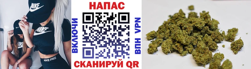 Каннабис планчик  Купить закладки  Нерюнгри 